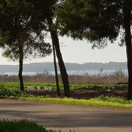 Il Cottage vacanza da Giusy Bella Farnia Esterno foto